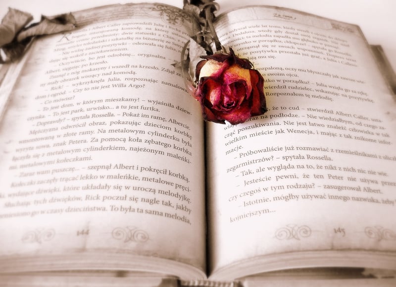 Mystical Book Image